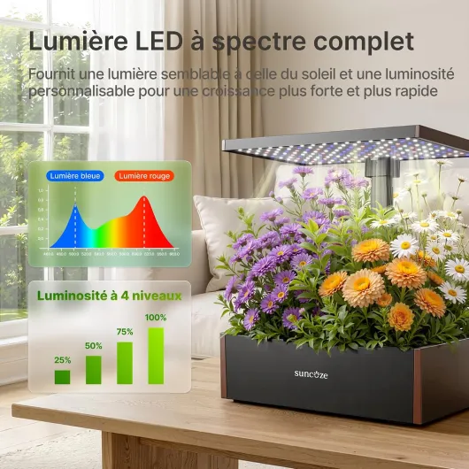 81U0cEm94mL._AC_SL1500_