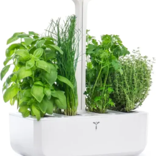 Test Potager Véritable Classic : le potager d’intérieur qui fait (presque) tout tout seul
