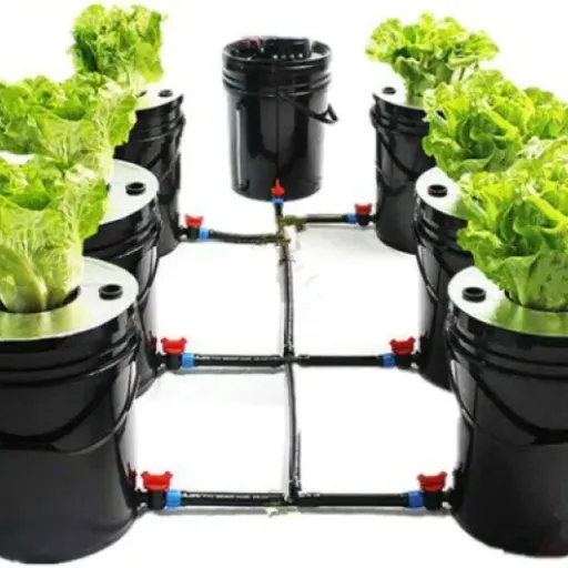 Test DWC Système de culture hydroponique 20 L x 7 seaux : un kit complet pour se lancer sans se ruiner