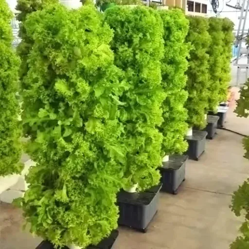 Test Tour hydroponique 45 pods HQYMXYGEUR : un potager vertical qui fait le job, mais pas plug & play
