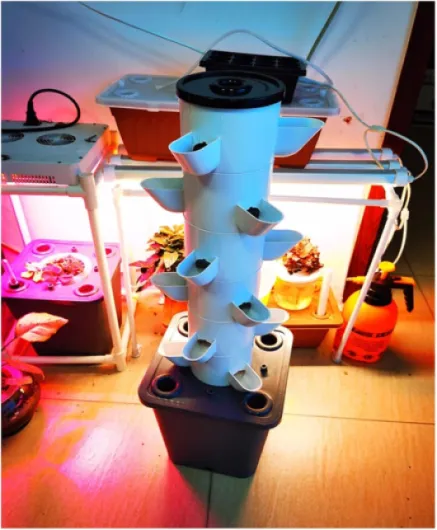 71Yix9AEFJL._AC_SL1500_