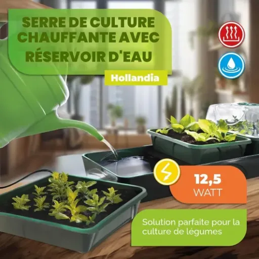 Test Bio Green HOL 3 Hollandia : la mini-serre chauffée qui aide bien, mais ne fait pas de miracles