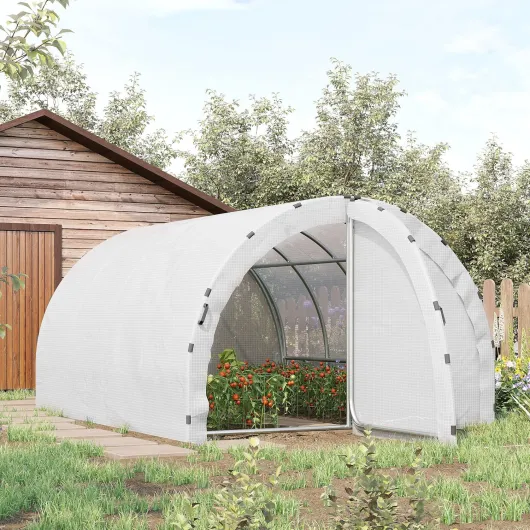 Serre de Jardin Tunnel 12 m² 4L x 3l x 2H m Renforcé 25 mm Blanc