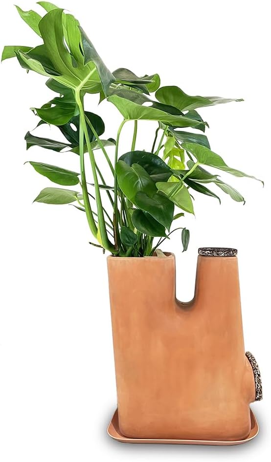Moutta｜Transfarmers Pot de Fleurs et lombricomposteur en Terre-Cuite Naturel 17L｜Pack avec 250gr de vers de Compost
