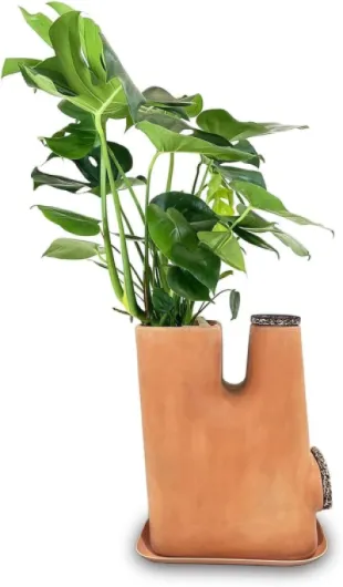 Moutta｜Transfarmers Pot de Fleurs et lombricomposteur en Terre-Cuite Naturel 17L｜Pack avec 250gr de vers de Compost