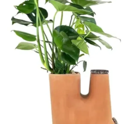 Test Moutta Transfarmers 17L : le pot de fleurs qui cache un lombricomposteur (et qui ne plaira pas à tout le monde)