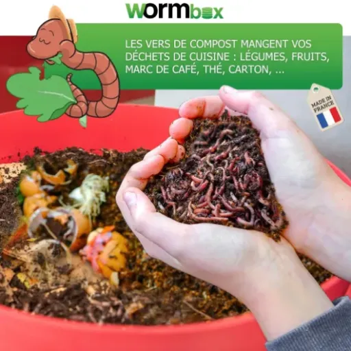Test WORMbox 4 plateaux : le lombricomposteur qui fait le job sans prendre toute la cuisine