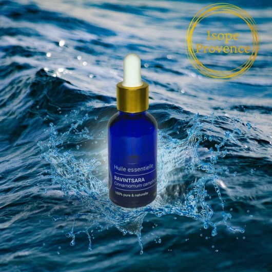 71X1f5QfC1L._AC_SL1080_