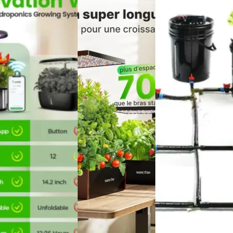 Classement des 15 meilleurs potagers hydroponiques d'intérieur (2026)