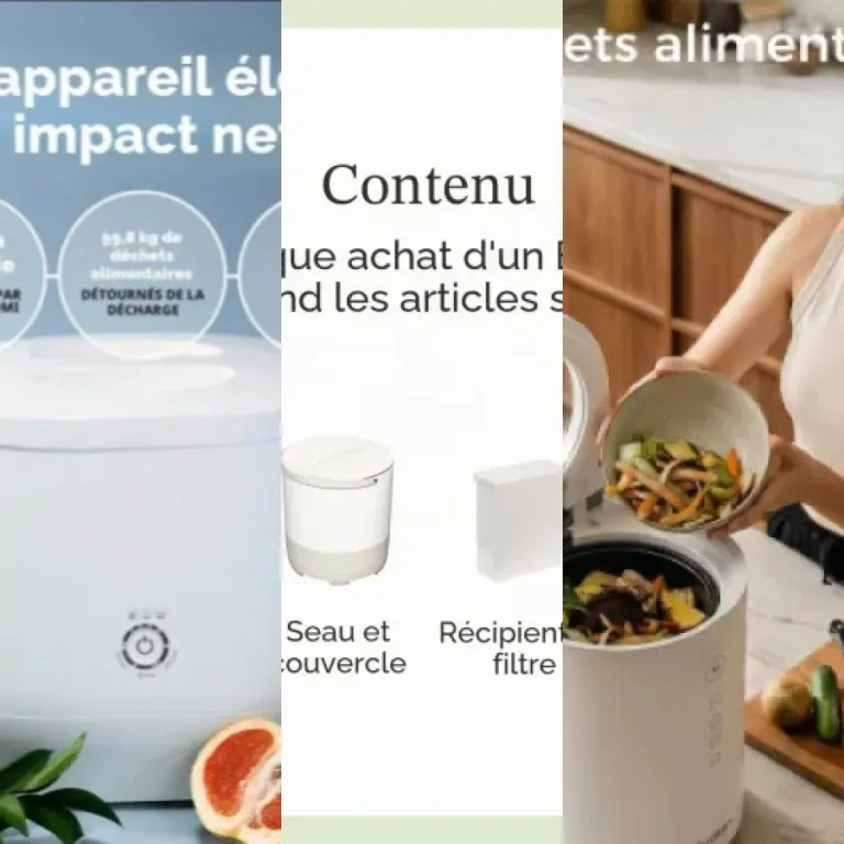 Les 5 meilleurs composteurs électriques de cuisine (2026)
