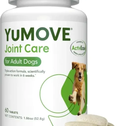 Avis YuMOVE Chien Adulte : un complément articulaire sérieux pour les chiens un peu raides