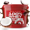 Avis Scitec Nutrition 100% Whey Protein Professional (5 kg) : la grosse cuve pour musculation au quotidien