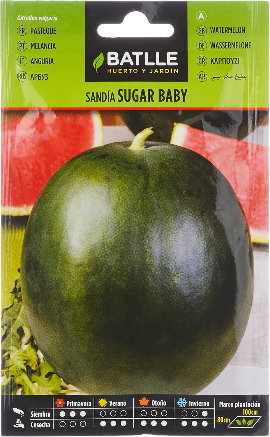 Semences horticoles de Batlle - Pastèque Sugar baby (8g), Rouge,Verte