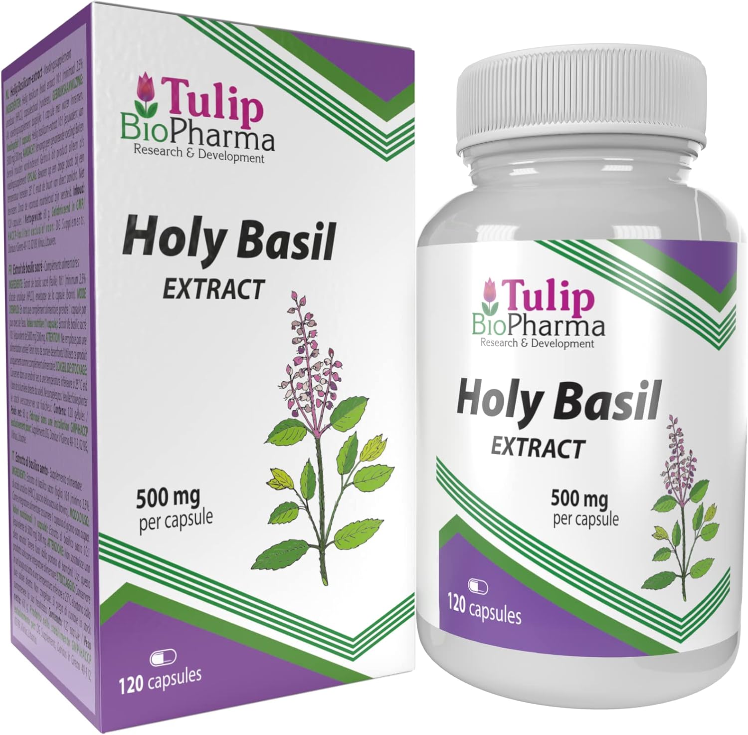 Basilic Tulsi sacré 5000mg Equivalent (500mg d'extrait 10:1) 120 Capsules, très fort, sans gluten, sans OGM, sans agent de remplissage