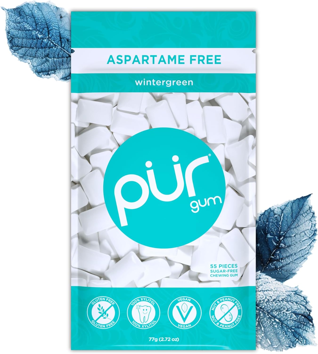 Chewing-Gum Sans Sucre - Au Xylitol - Végétalien, Sans Aspartame et Sans Gluten - Gum Naturel Au Goût De Wintergreen, 55 Pièces (Lot De 1) Wintergreen 55 unité (Lot de 1)