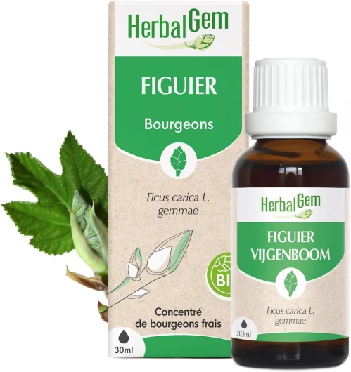 Macérât-Mère - Figuier Bio - Complément Alimentaire Gemmothérapie Concentrée - Extrait De Bourgeon Frais - Pour Digestion - Vegan - 30 ml