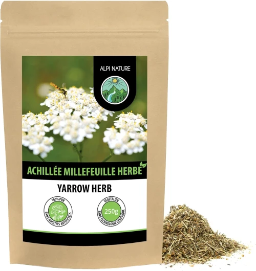 Thé de achillée millefeuille (250g) coupé, déshydraté en douceur, herbe millefeuille 100% pure et naturelle pour la préparation de thé ou tisane