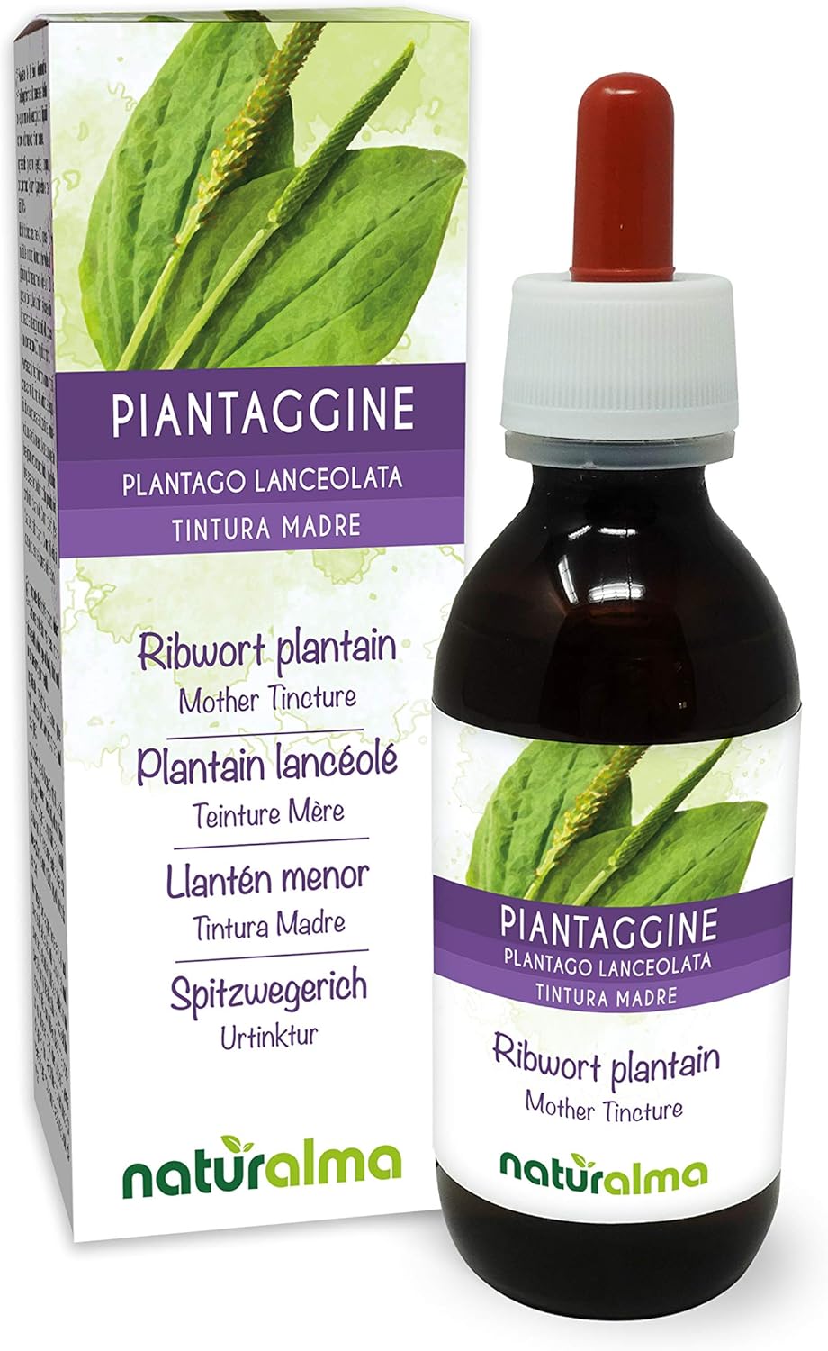 Plantain lancéolé (Plantago lanceolata) feuilles Teinture Mère sans alcool Naturalma - Extrait liquide gouttes 120 ml - Complément alimentaire - Végétalien ou végan
