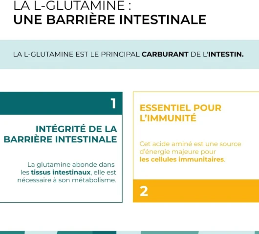 61IausqAtuL._AC_SL1000_