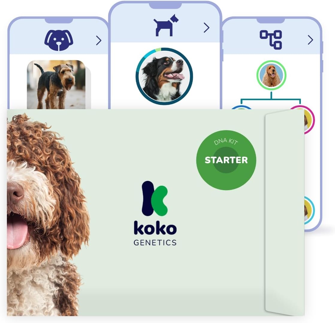 Test ADN Starter pour Chiens - Rapports sur Races et Traits - Mises à Niveau sans Frais