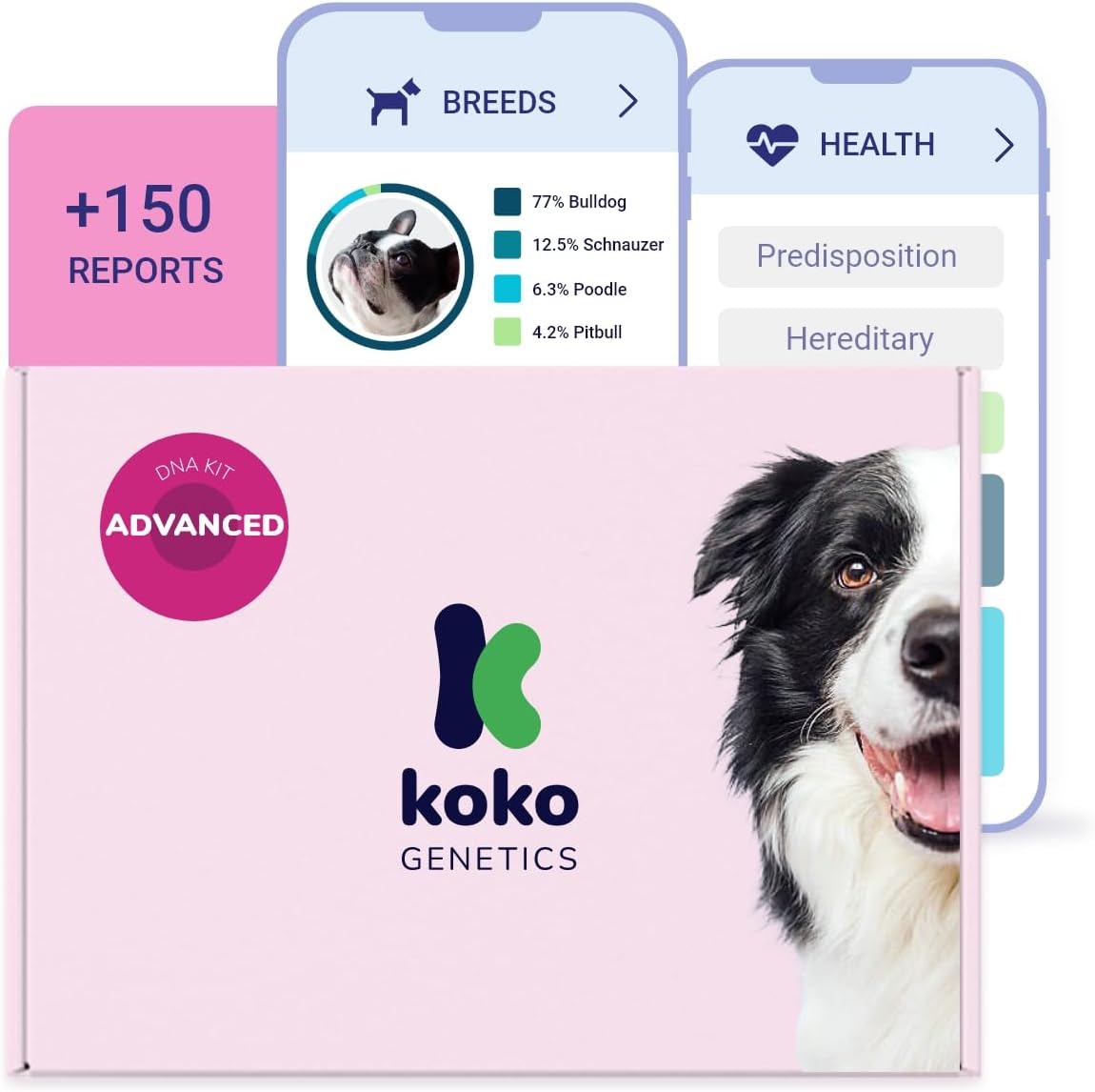 Test ADN pour Chiens Advanced (+175 rapports sur les Races, Santé et Traits) - Mises à niveau sans frais