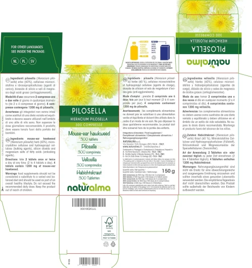 91ZGBqCjIvL._AC_SL1500_