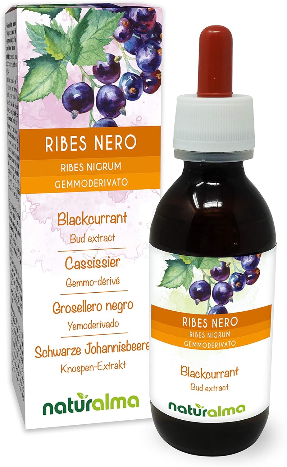 Cassissier (Ribes nigrum) Gemmo-dérivé sans alcool à base de bourgeons frais Naturalma - Extrait liquide gouttes 120 ml - Complément alimentaire - Végétalien ou végan