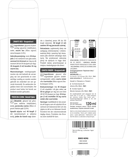81wPhWDmFiL._AC_SL1500_