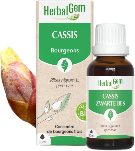 Macérât-Mère - Cassis Bio - Complément Alimentaire Gemmothérapie Concentrée - Extrait De Bourgeon Frais - Pour Articulations, Muscles - Vegan - 30 ml