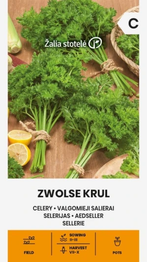 Zalia stotele - CÉLERI - Graines ZWOLSE KRUL - Graines de légumes - Graines de céleri - Graines de plantes - Graines de jardin - Une variété précoce et ornementale de céleri à feuilles - 1 paquet