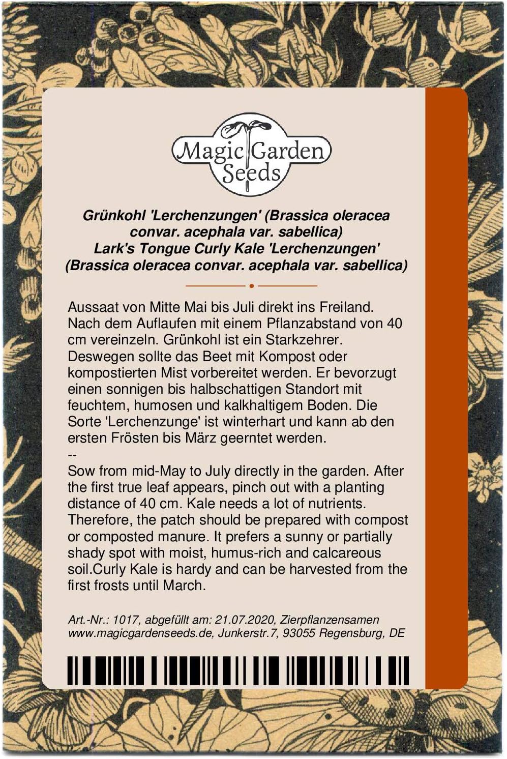 Chou frisé non pommé 'Lerchenzungen' (Brassica oleracea convar - acephala var - sabellica) env - 100 semences