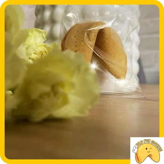 61knVNDiacL._AC_SL1080_