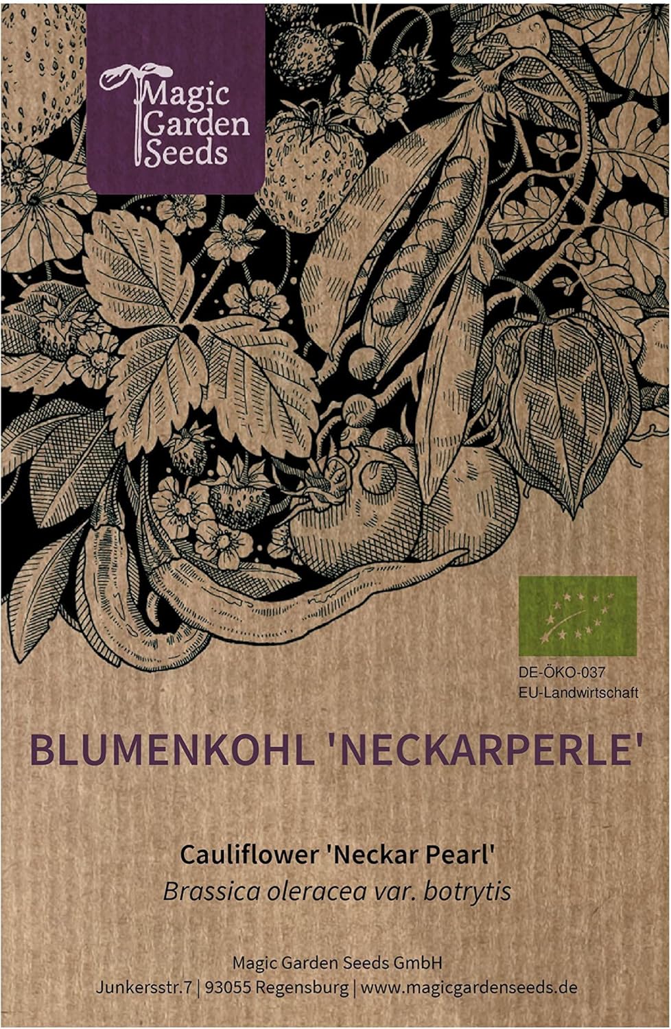 Chou-fleur 'Neckarperle' (Brassica oleracea var - botrytis) 50 graines bio Chou italien Chou-fleur Chou à fromage