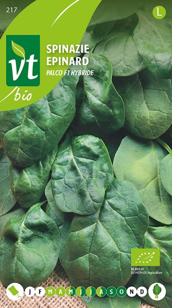 Épinard Palco F1 hybride Graines - Convient aussi à la surgélation