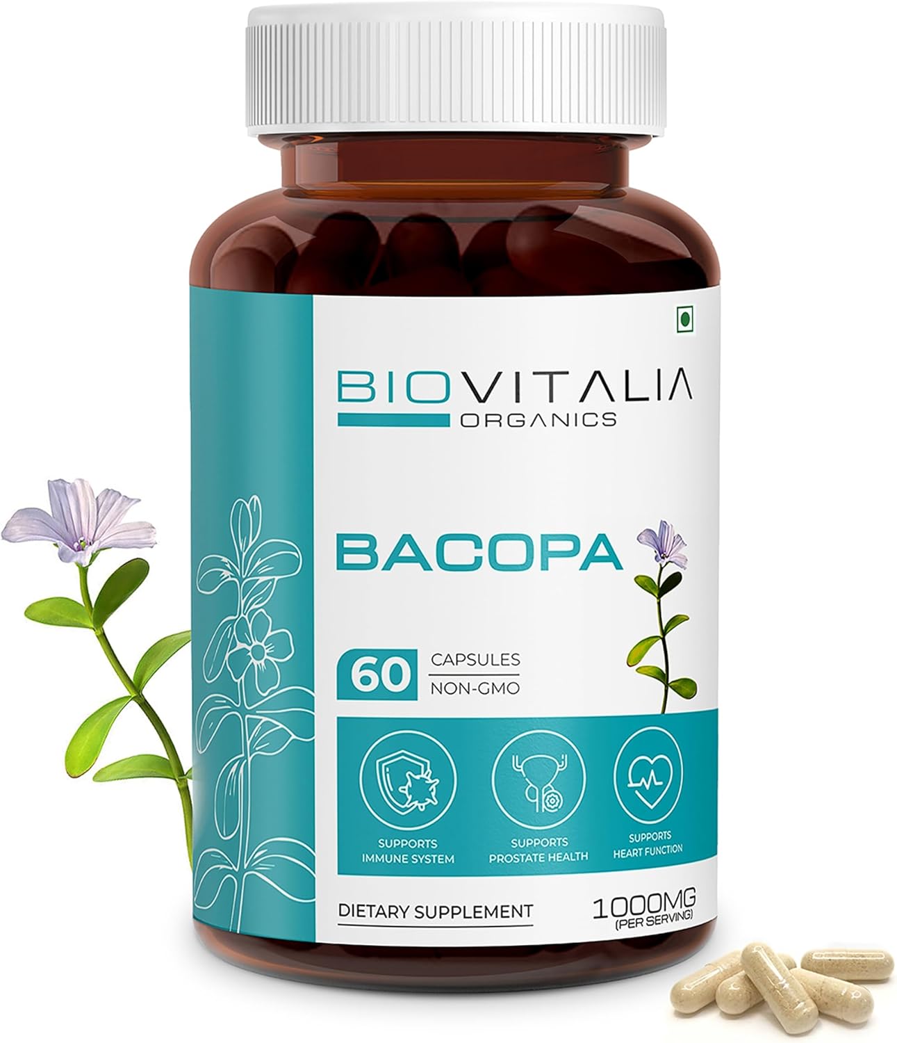 Capsule d'extrait de bacopa 1000 mg - Complément alimentaire - Promouvoir la fonction cérébrale - Soutient le système immunitaire - 60 capsules végétaliennes