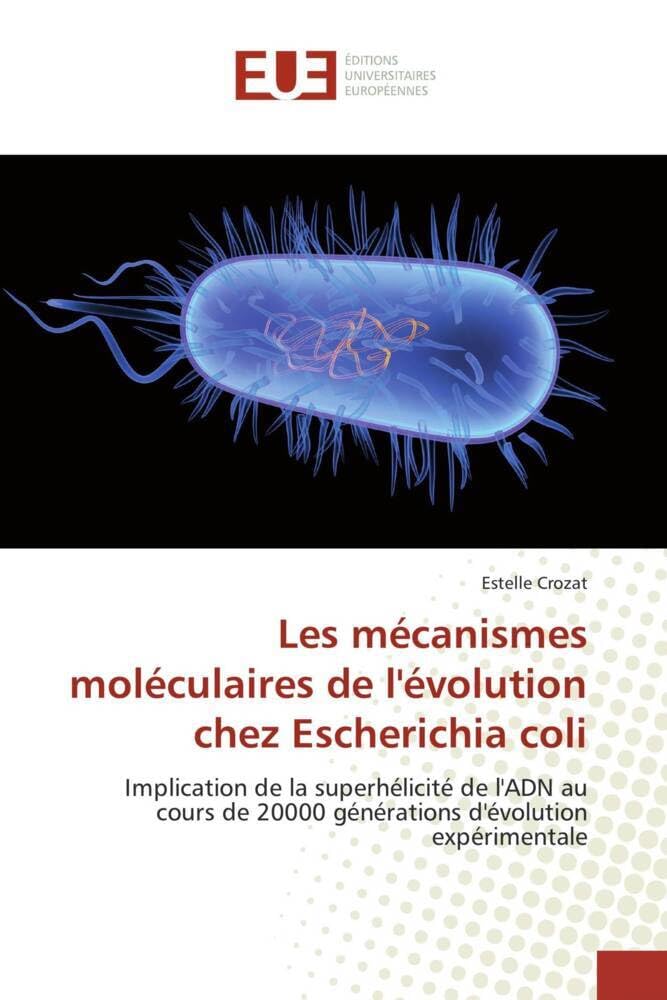 Les mécanismes moléculaires de l'évolution chez Escherichia coli: Implication de la superhélicité de l'ADN au cours de 20000 générations d'évolution expérimentale