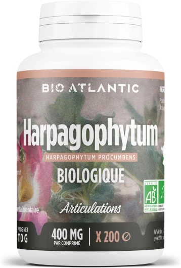Harpagophytum Bio - 200 comprimés dosées 400 mg
