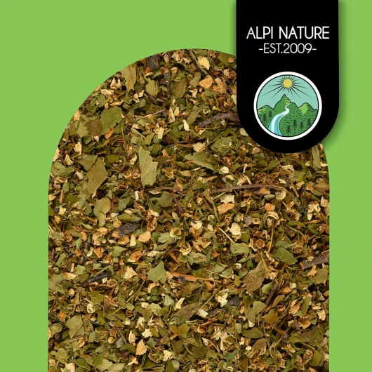 91csC5oDQxL._AC_SL1500_
