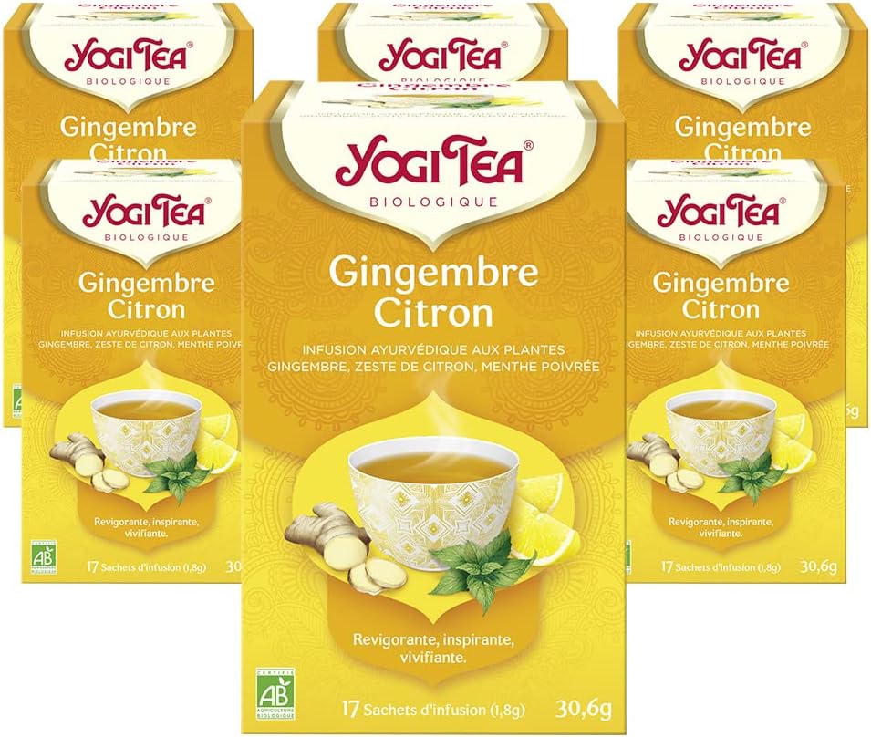 , Gingembre Citron, Infusion Bio, Tisane Naturellement Sans Caféine, Mélange de Gingembre, Ecorce de Citron et Menthe Poivrée, 102 (6x17) Sachets de Thé