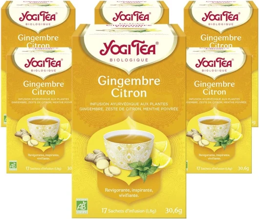 , Gingembre Citron, Infusion Bio, Tisane Naturellement Sans Caféine, Mélange de Gingembre, Ecorce de Citron et Menthe Poivrée, 102 (6x17) Sachets de Thé
