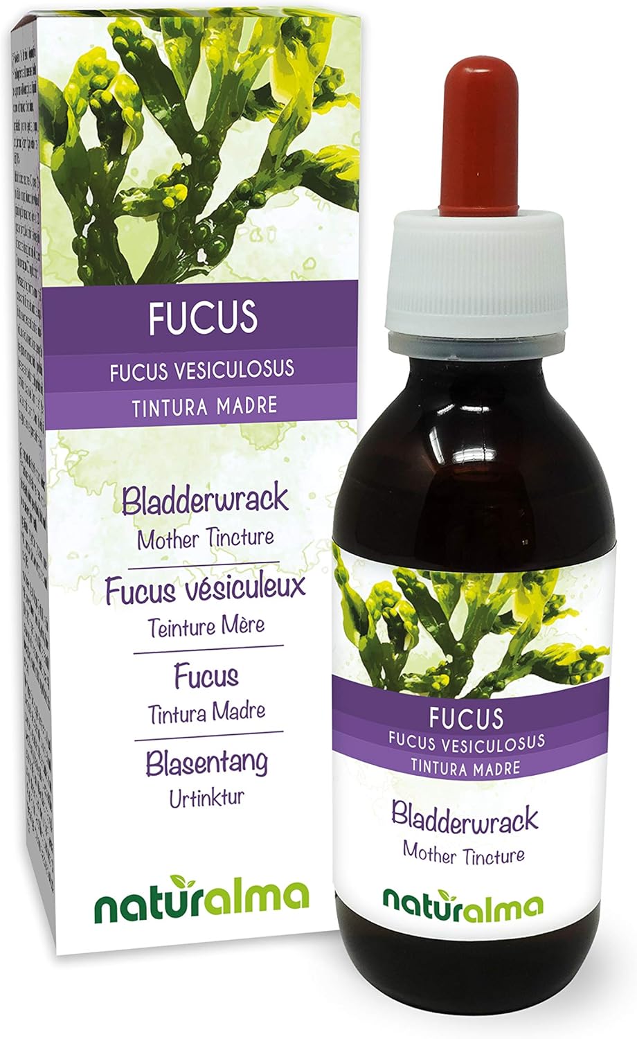 Fucus vésiculeux ou Chêne marin (Fucus vesiculosus) thalle (algue) Teinture Mère sans alcool Naturalma - Extrait liquide gouttes 120 ml - Complément alimentaire - Végétalien ou végan