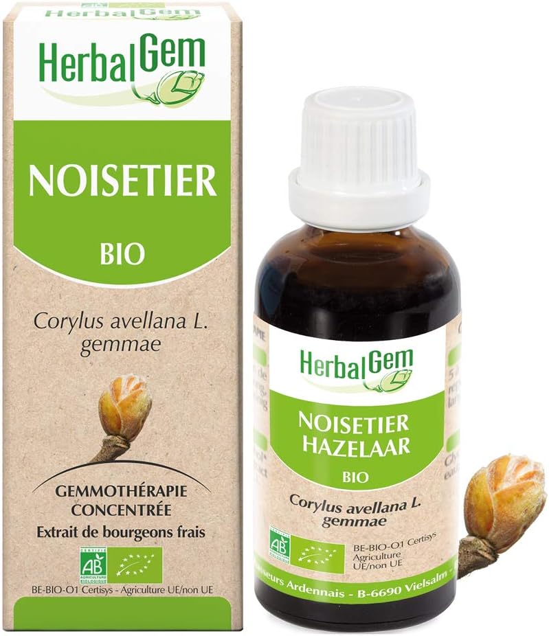 Macérât-Mère - Noisetier Bio - Complément Alimentaire Gemmothérapie Concentrée - Extrait De Bourgeon Frais - Pour Voies Respiratoires - Vegan - 30 ml