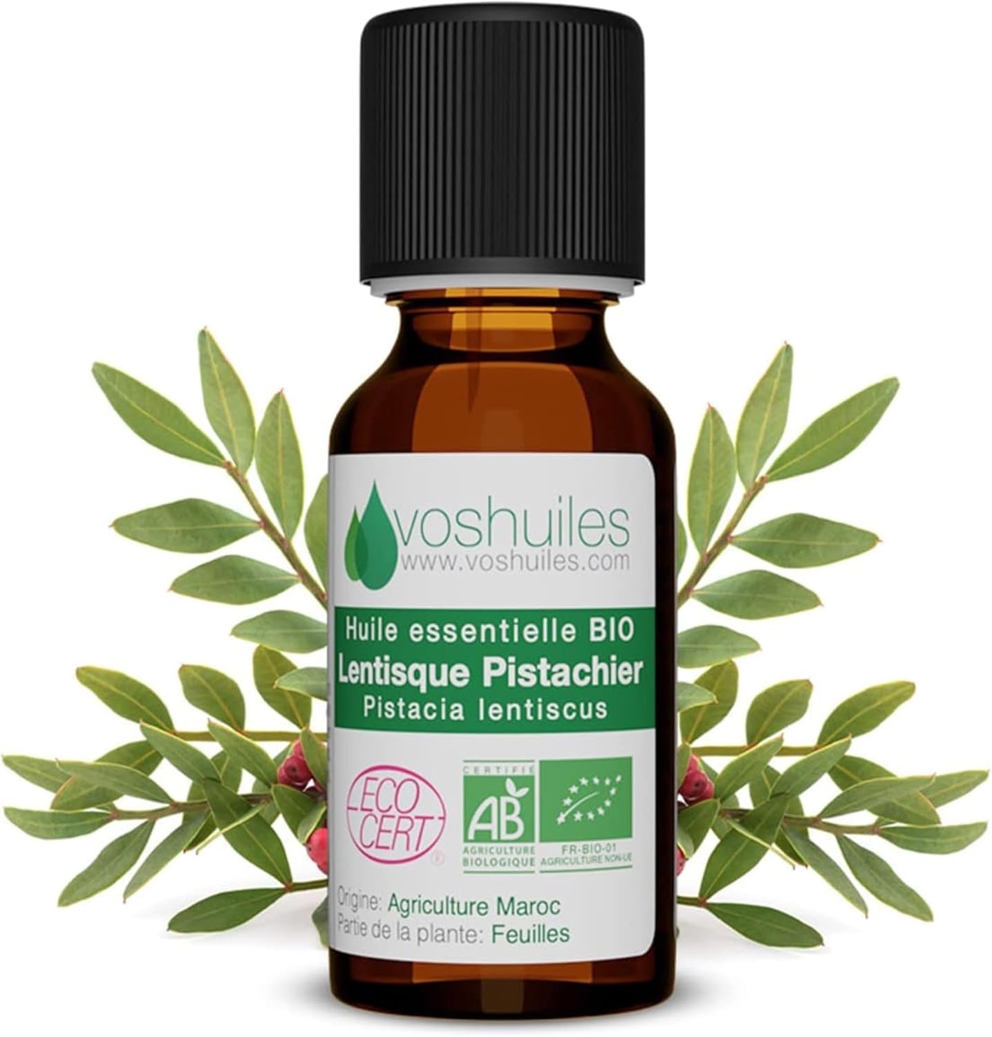 Voshuiles - Huile Essentielle Lentisque Pistachier Bio 10ml - Parfum Chaud - Réputée pour ses Vertus - Huiles Essentielles de Qualité - 100% Pure et Naturelle - HEBBD et Certifiée ECOCERT