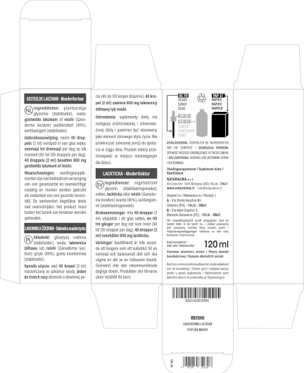 811M4R6AdeL._AC_SL1500_