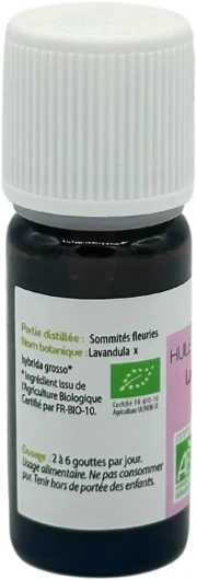 41KDO PUrtL._AC_SL1000_