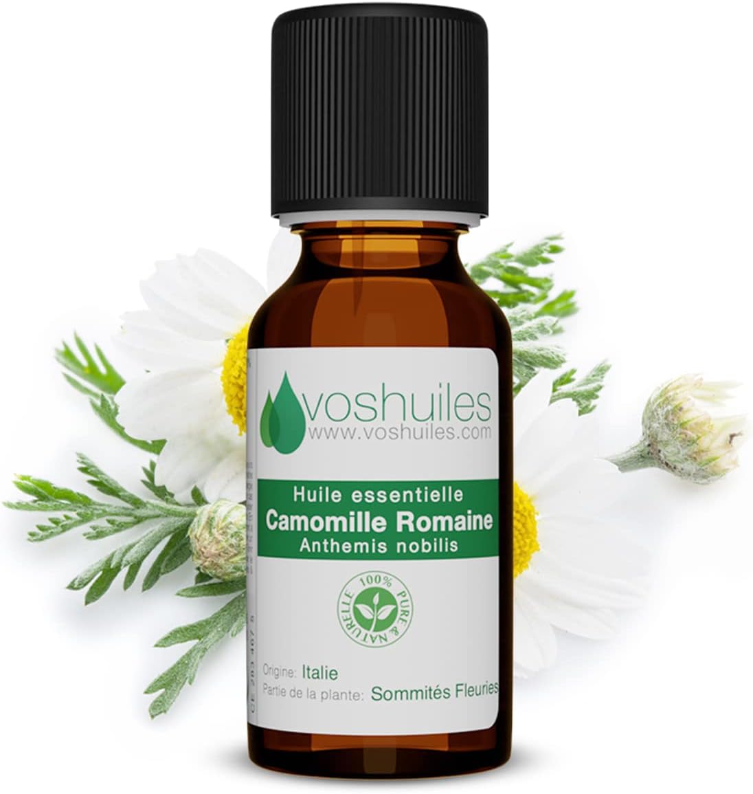 Huile Essentielle de Camomille Romaine, Noble - 100% Pure et Naturelle - HEBBD - Huile Essentielle Apaisante - Idéal pour Soulager la Tension - 5 ml - VOSHUILES