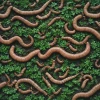 Lumbrokinase : ce qu'il faut savoir sur ce complément