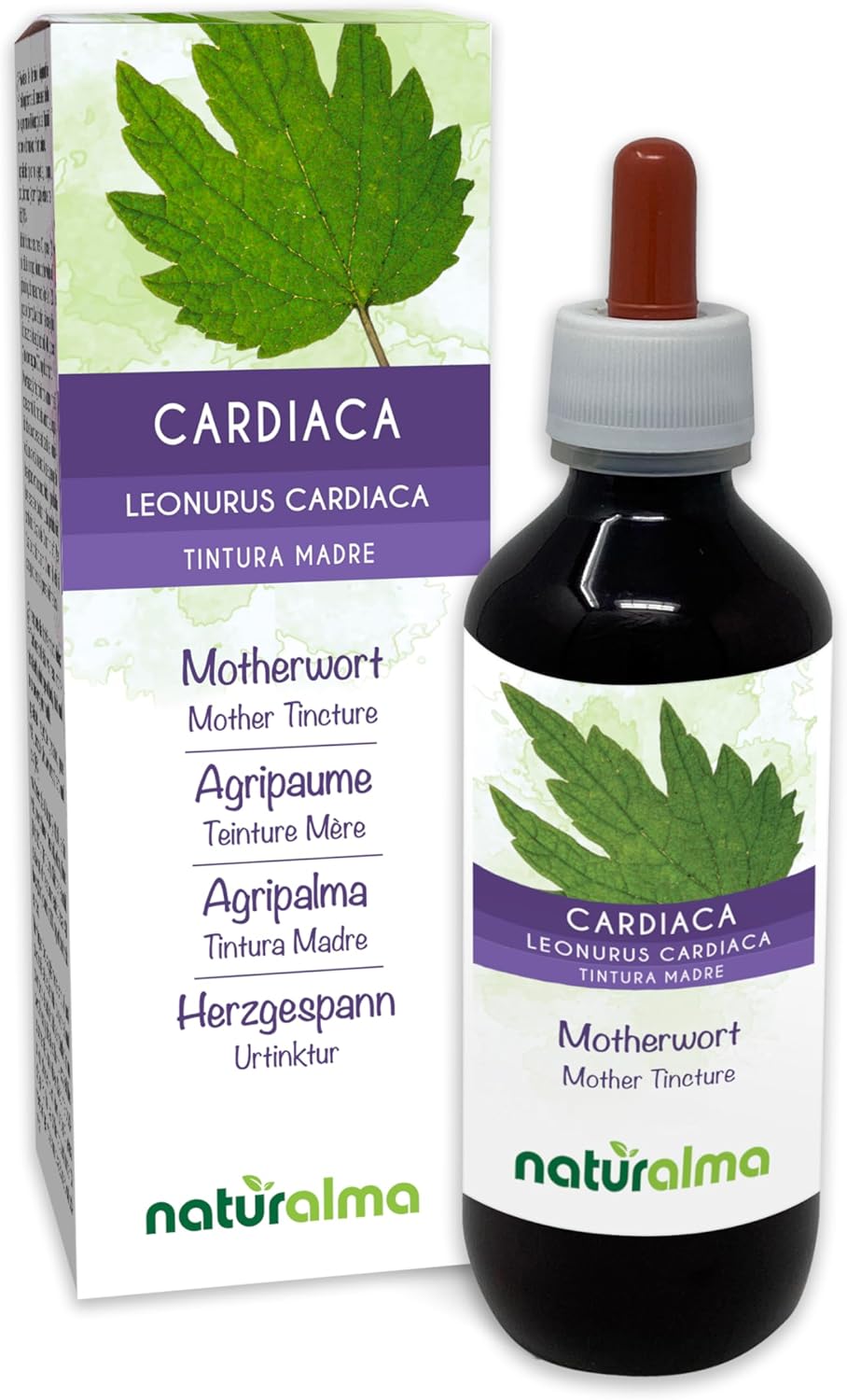 Agripaume ou Cardiaque (Leonurus cardiaca) herbe avec fleurs Teinture Mère sans alcool Naturalma - Extrait liquide gouttes 200 ml - Complément alimentaire - Végétalien ou végan Sans alcool 200 ml (Lot de 1)