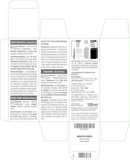 81X8 b1dGwL._AC_SL1500_