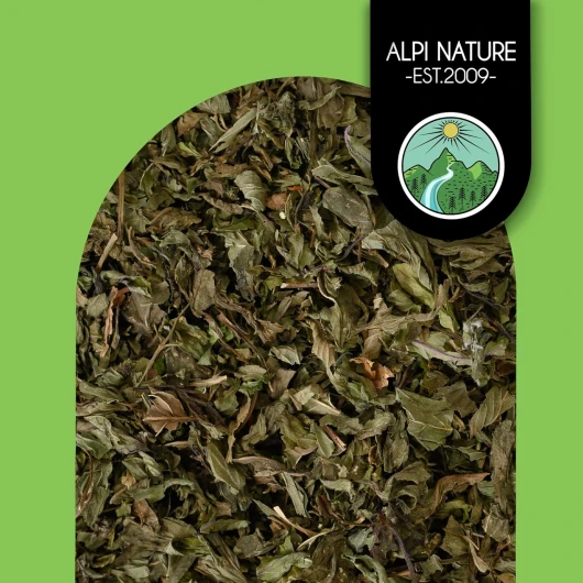 819nBSjt6DL._AC_SL1500_